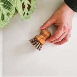 brosse à casseroles en bois de hêtre